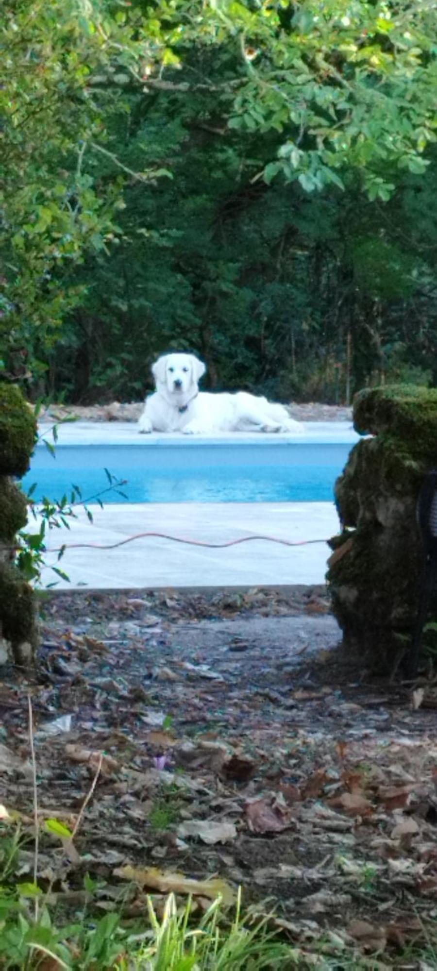 La Rossignolerie - La Familiale Vigneronne Bed & Breakfast Chouzy-sur-Cisse Eksteriør bilde